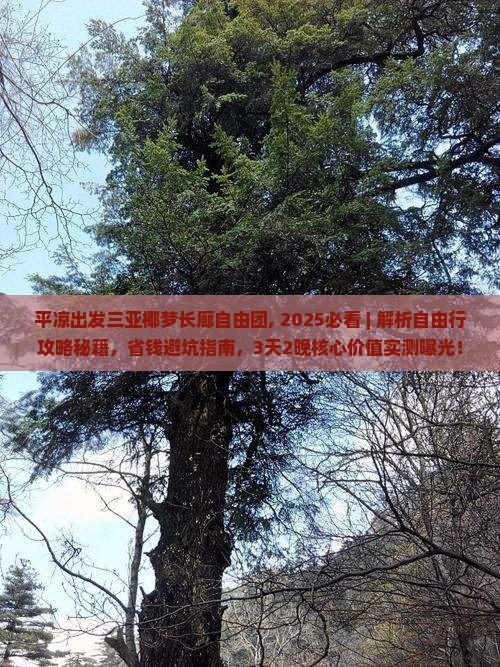 平凉出发三亚椰梦长廊自由团