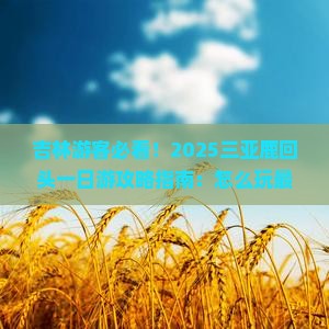 吉林去三亚鹿回头一日游