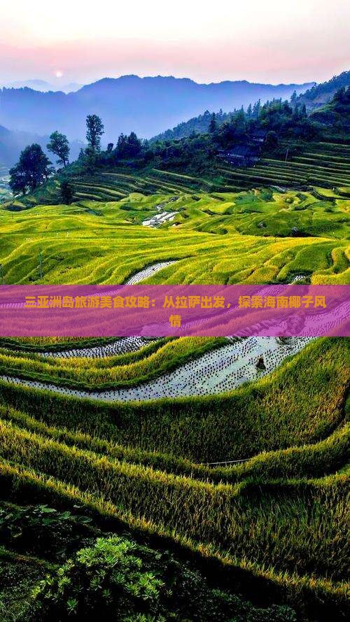 拉萨出发三亚椰子洲岛旅游小吃