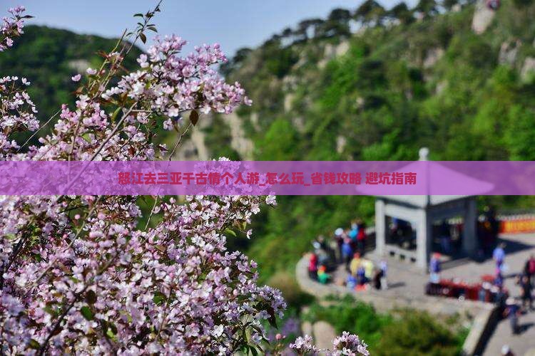 怒江去三亚千古情个人游