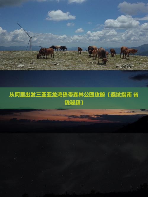 阿里出发三亚亚龙湾热带森林公园攻略
