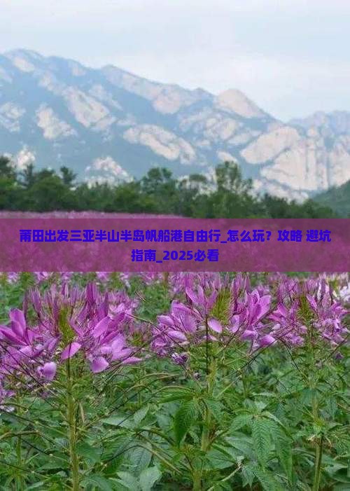 莆田出发三亚半山半岛帆船港自由行