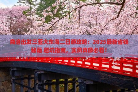 商洛出发三亚大东海二日游