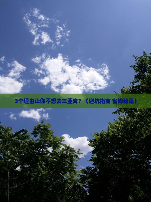 鄂州前往三亚三亚湾个人游