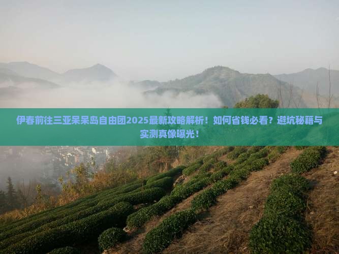 伊春前往三亚呆呆岛自由团
