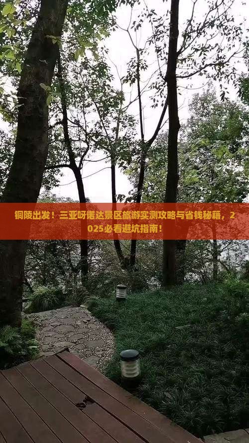 铜陵前往三亚呀诺达景区旅游