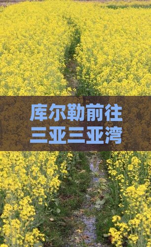 库尔勒前往三亚三亚湾团体旅游