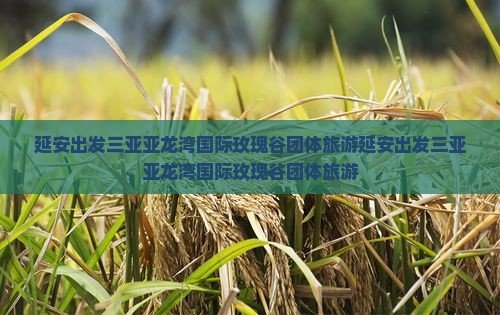 延安出发三亚亚龙湾国际玫瑰谷团体旅游