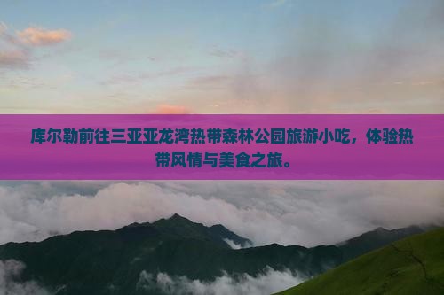 库尔勒前往三亚亚龙湾热带森林公园旅游小吃