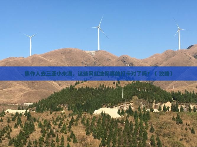 焦作去三亚小东海旅游网红地点 焦作去三亚小东海旅游网红地点