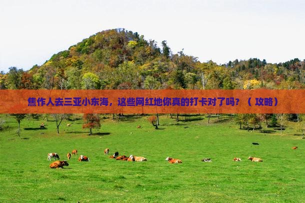 焦作去三亚小东海旅游网红地点 焦作去三亚小东海旅游网红地点
