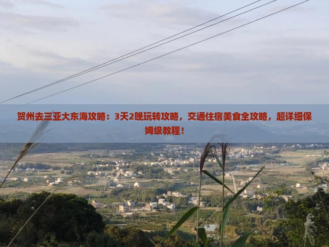 贺州去三亚大东海攻略