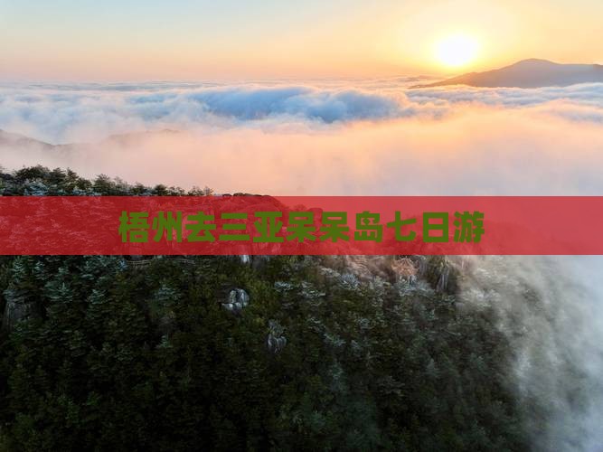 梧州去三亚呆呆岛七日游