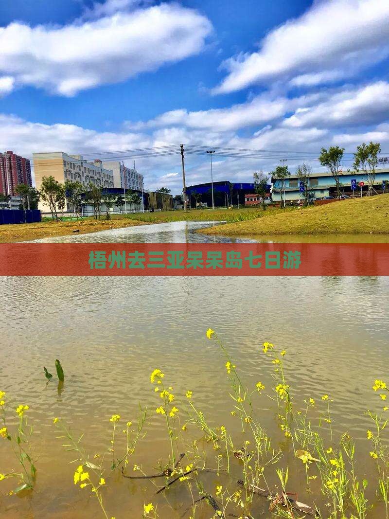 梧州去三亚呆呆岛七日游