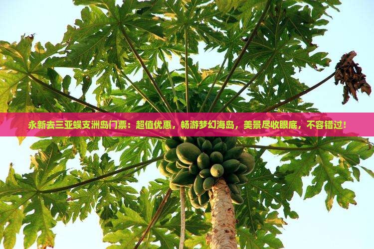 永新去三亚蜈支洲岛门票