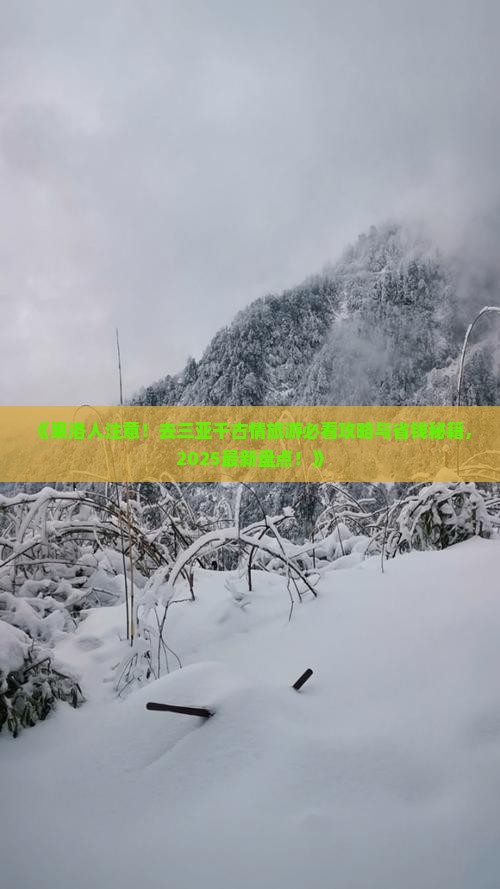 果洛去三亚千古情旅游网红地点