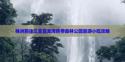 株洲前往三亚亚龙湾热带森林公园旅游小吃