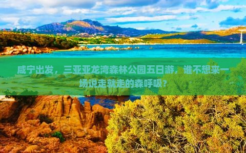 咸宁出发三亚亚龙湾热带森林公园五日游