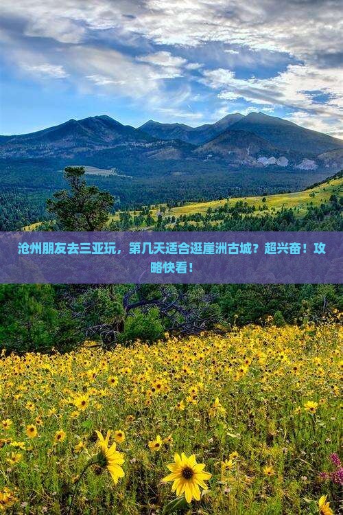 沧州前往三亚崖洲古城旅游