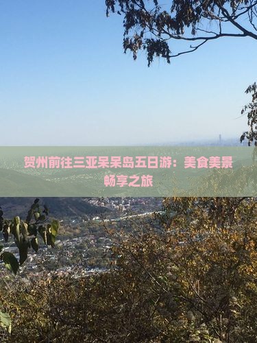 贺州前往三亚呆呆岛五日游
