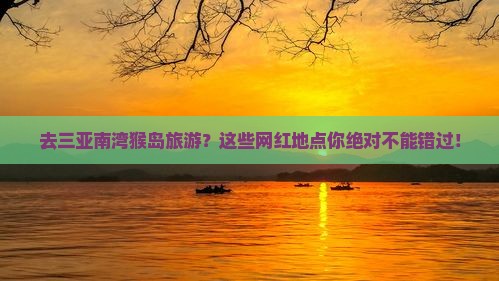 承德去三亚南湾猴岛旅游网红地点