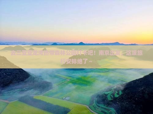 南京去三亚亚龙湾热带森林公园旅游打卡点