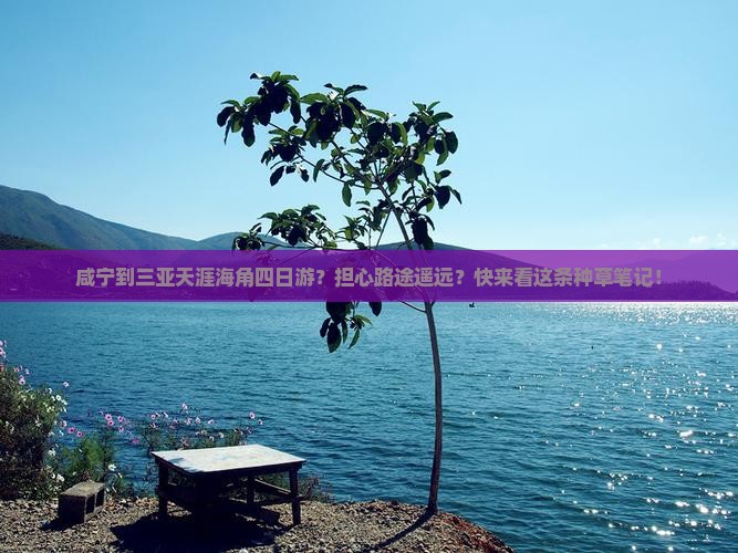 咸宁去三亚天涯海角四日游