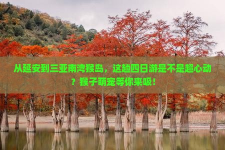 延安出发三亚南湾猴岛四日游