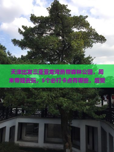 天津出发三亚亚龙湾热带森林公园哪里玩