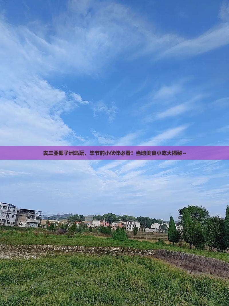 毕节去三亚椰子洲岛旅游小吃