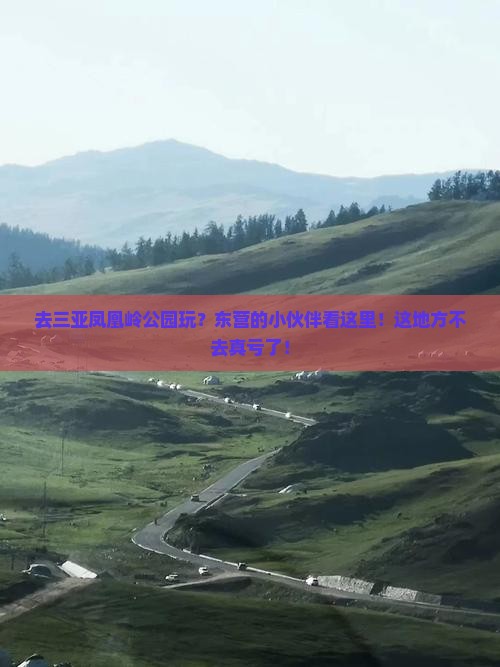 东营去三亚凤凰岭公园必玩地 东营去三亚凤凰岭公园必玩地