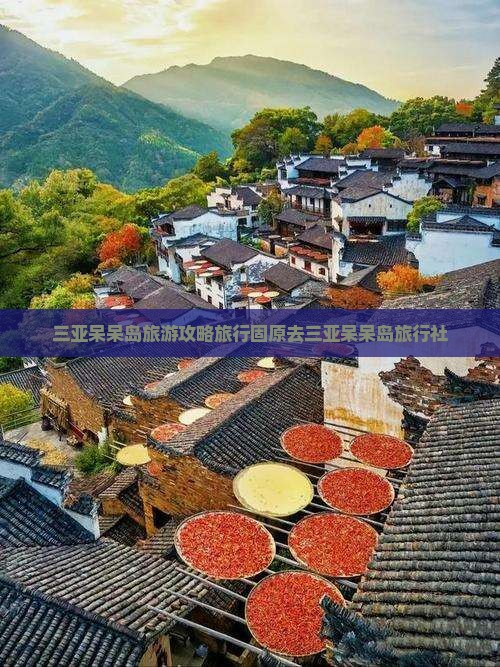 固原去三亚呆呆岛旅行社