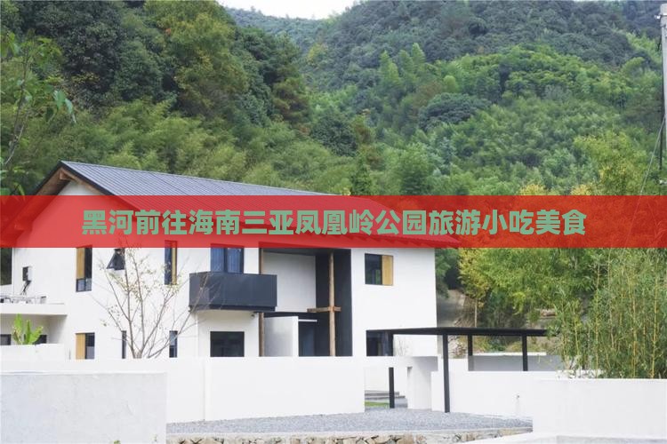 黑河前往三亚凤凰岭公园旅游小吃