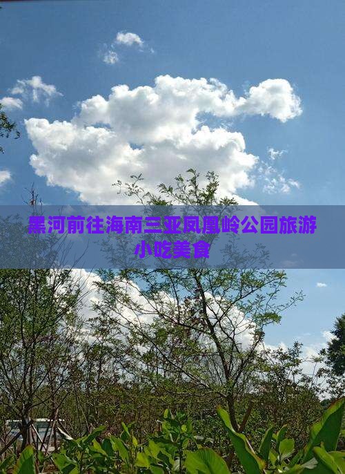 黑河前往三亚凤凰岭公园旅游小吃