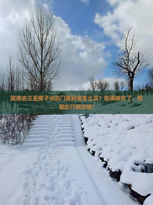 陇南去三亚椰子洲岛门票
