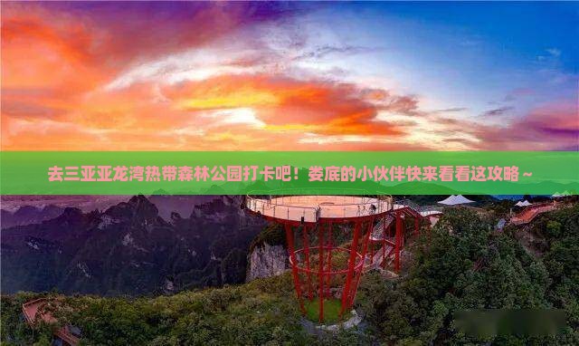 娄底去三亚亚龙湾热带森林公园旅游打卡点