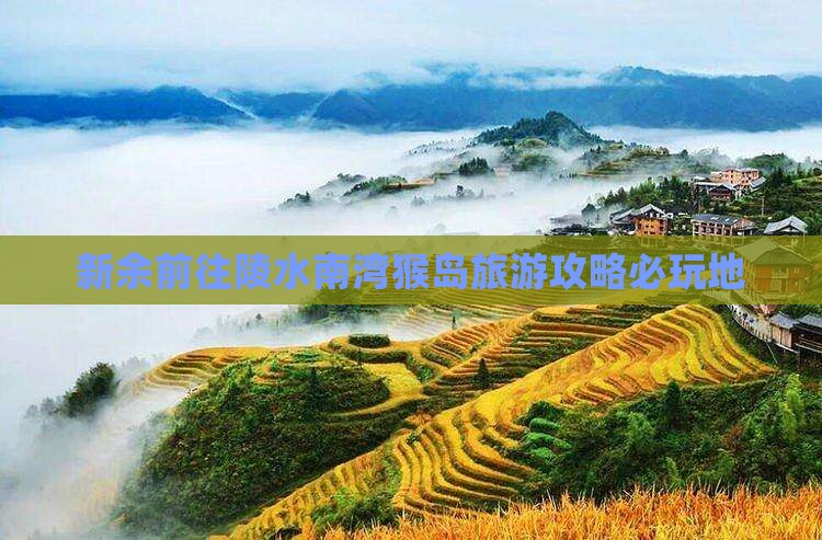 新余前往三亚南湾猴岛必玩地