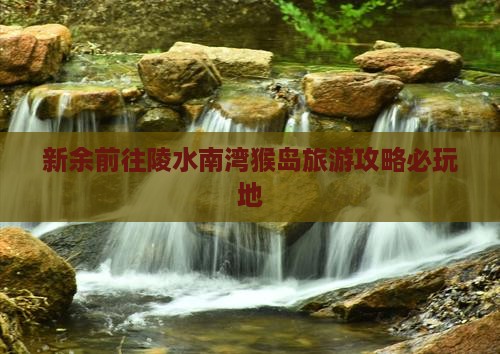 新余前往三亚南湾猴岛必玩地