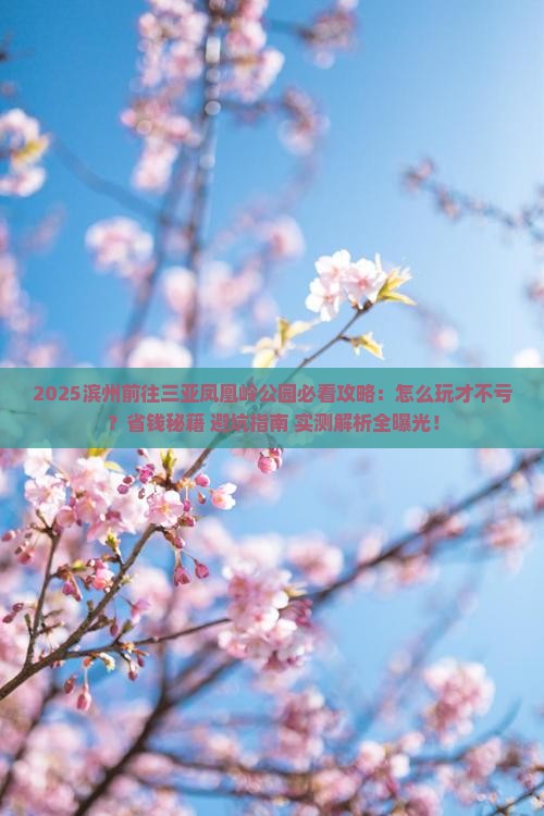滨州前往三亚凤凰岭公园攻略