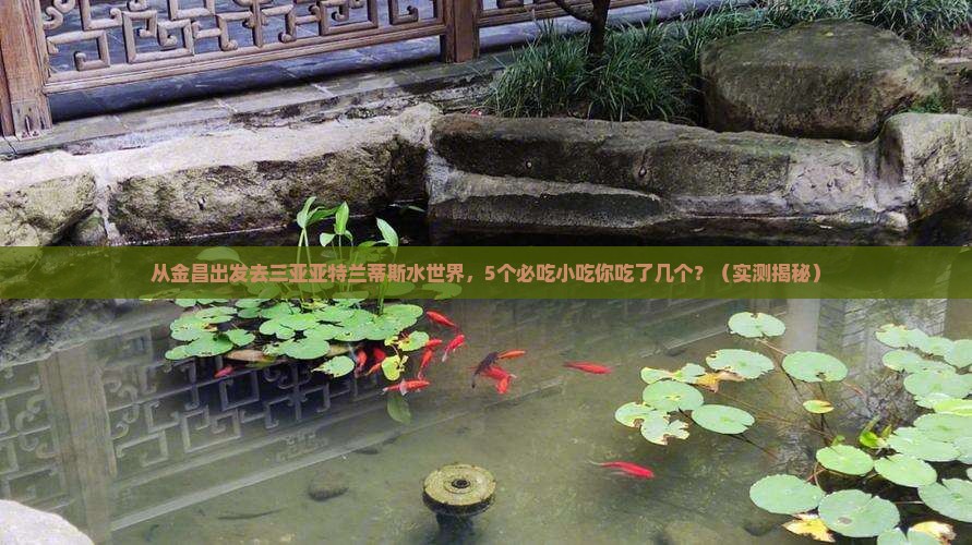 金昌出发三亚亚特兰蒂斯水世界旅游小吃