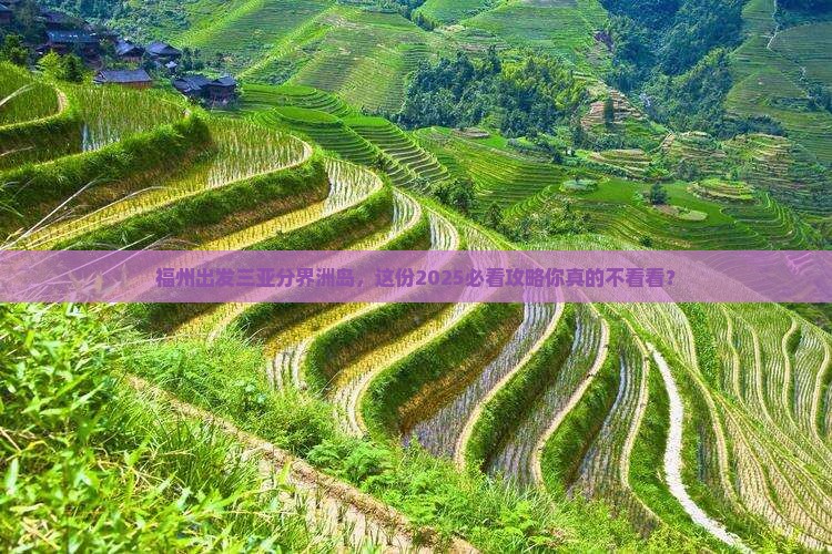 福州出发三亚分界洲岛旅行社