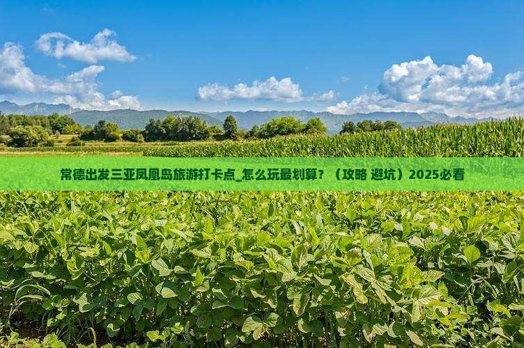 常德出发三亚凤凰岛旅游打卡点