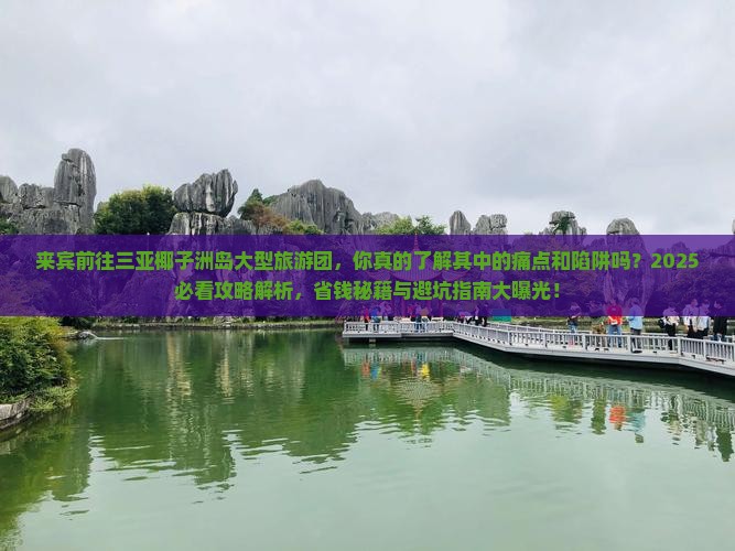 来宾前往三亚椰子洲岛大型旅游团