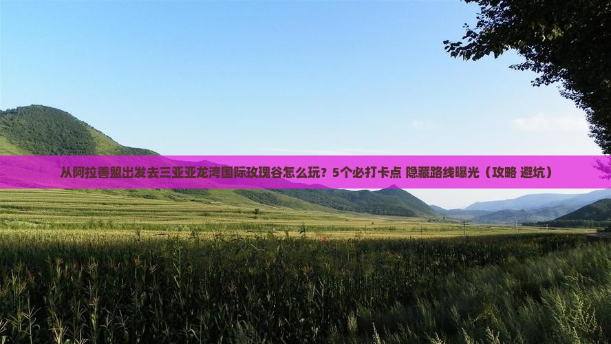 阿拉善盟前往三亚亚龙湾国际玫瑰谷旅游打卡点