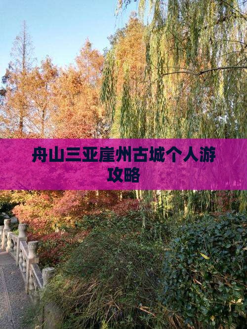 舟山去三亚崖洲古城个人游
