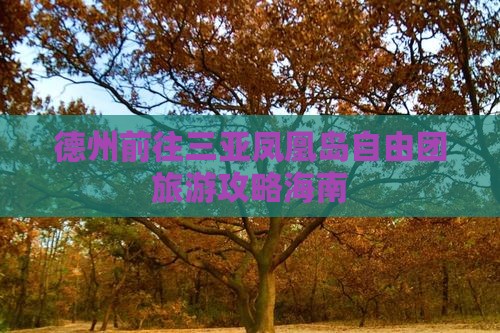 德州前往三亚凤凰岛自由团