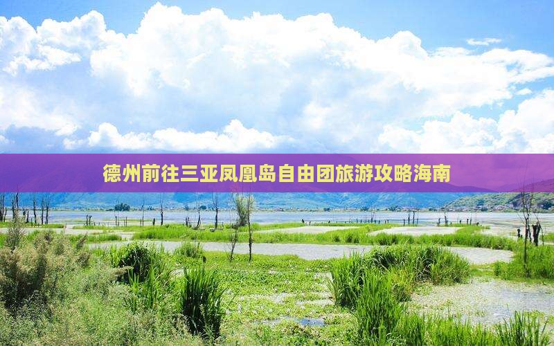 德州前往三亚凤凰岛自由团