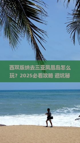 西双版纳去三亚凤凰岛攻略