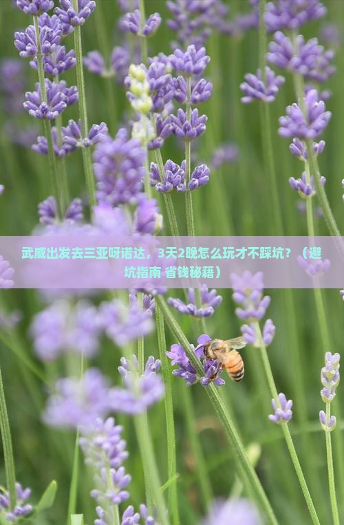 武威出发三亚呀诺达景区旅游