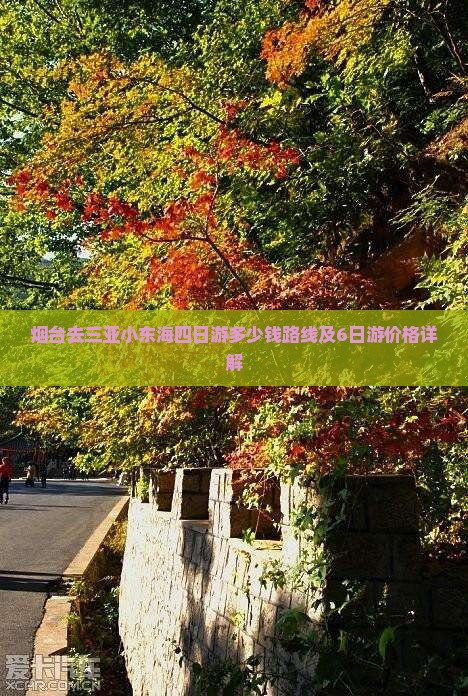 烟台去三亚小东海四日游